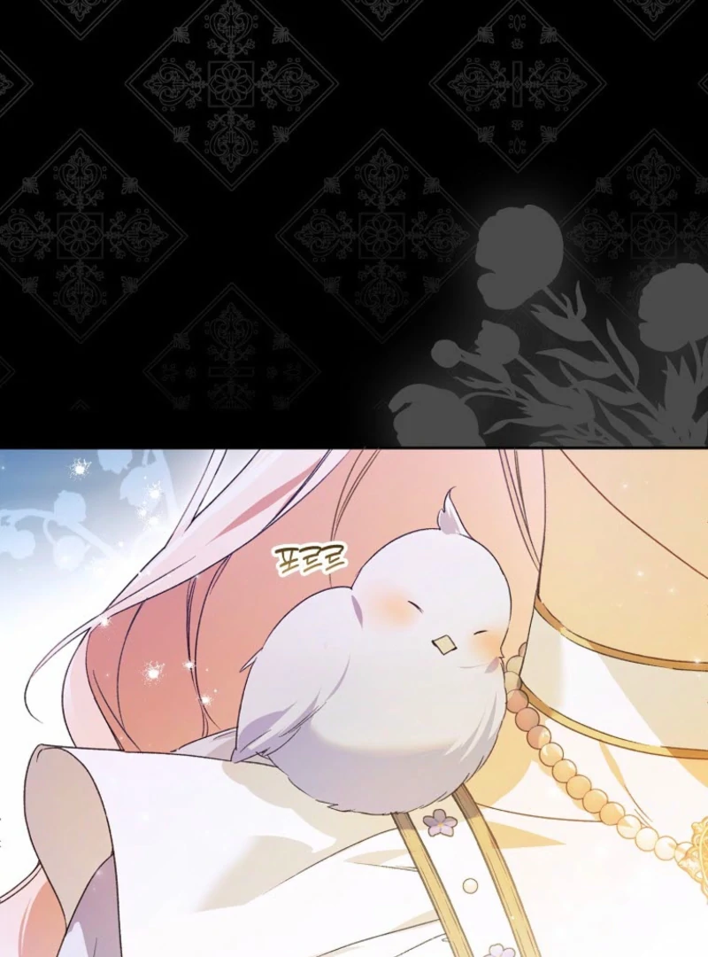 Marquis of Marron Chapter 27 - page 42