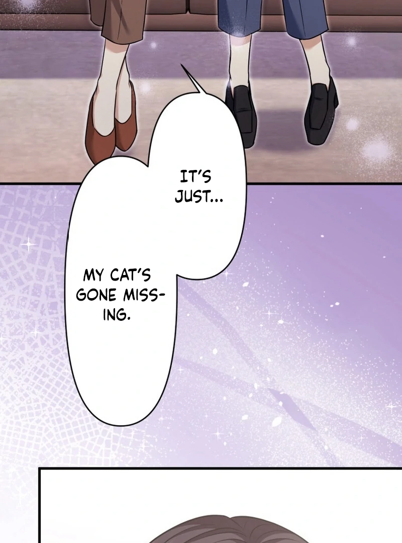 The Stray Cat Who Doesn’t Know the Greatest Love Song Chapter 15 - page 41