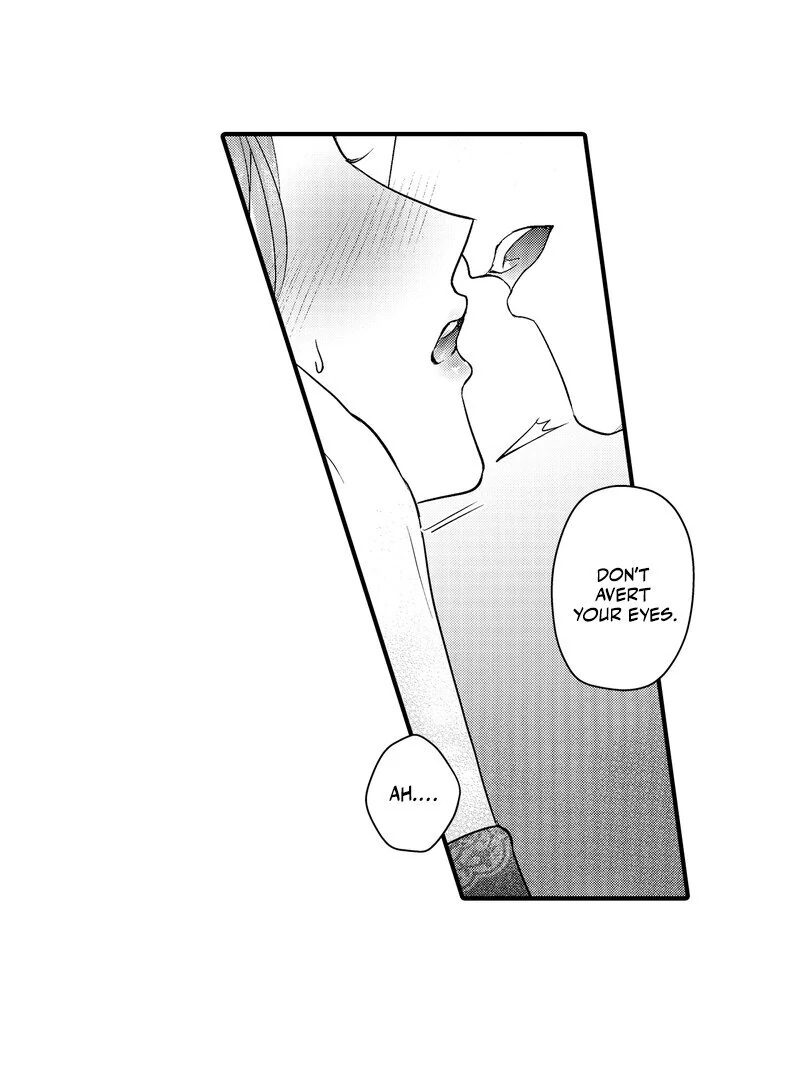 The Merciless Emperor’s Pet Consort Chapter 11 - page 30