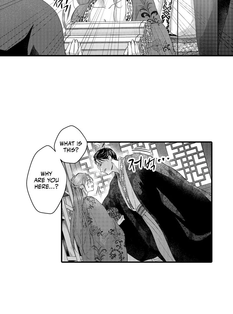 The Merciless Emperor’s Pet Consort Chapter 11 - page 7