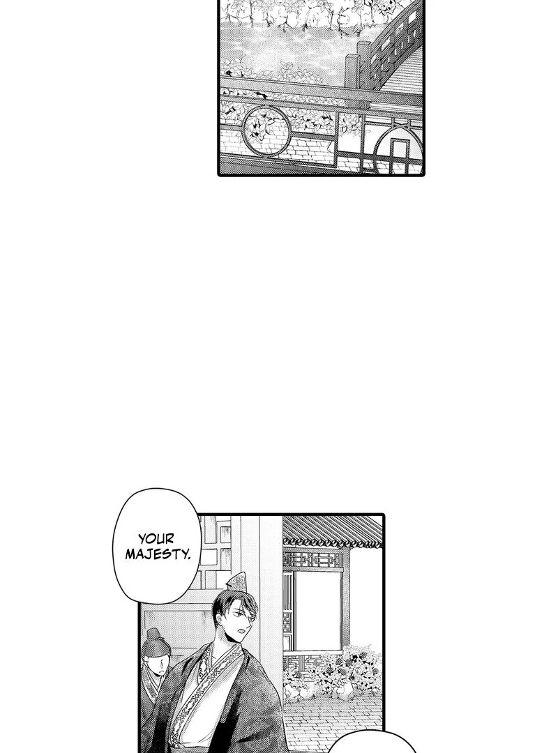 The Merciless Emperor’s Pet Consort Chapter 12 - page 11