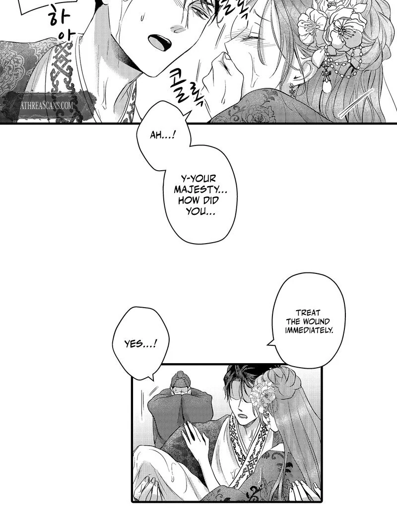 The Merciless Emperor’s Pet Consort Chapter 12 - page 25