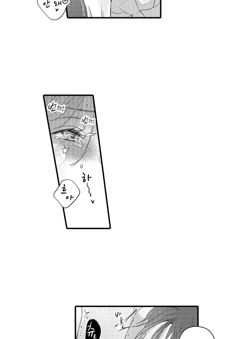 The Merciless Emperor’s Pet Consort Chapter 13 - page 28