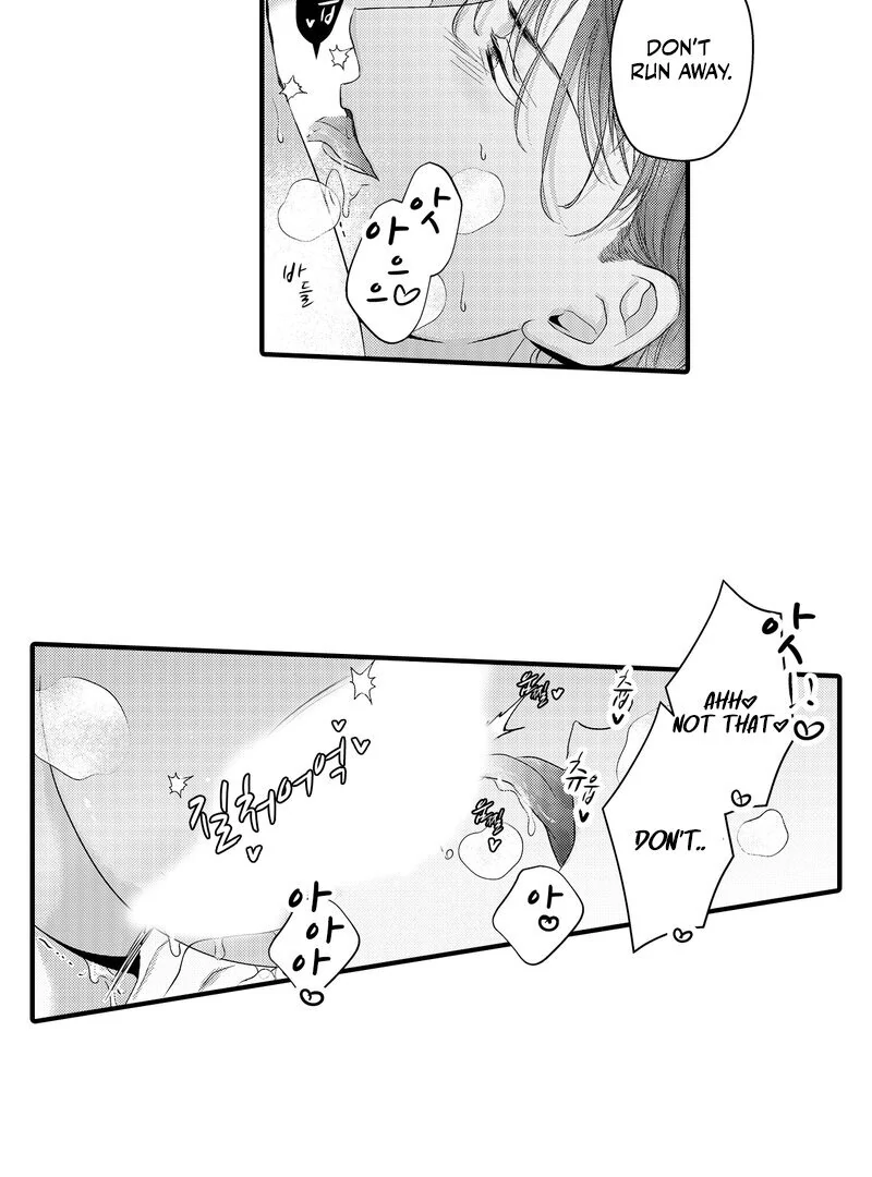 The Merciless Emperor’s Pet Consort Chapter 13 - page 29