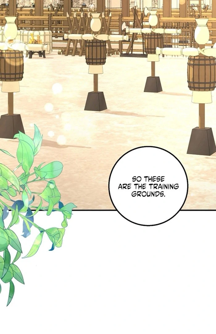 Sub-Male Lead, You Said It Was A Contract Marriage? Chapter 17 - page 5