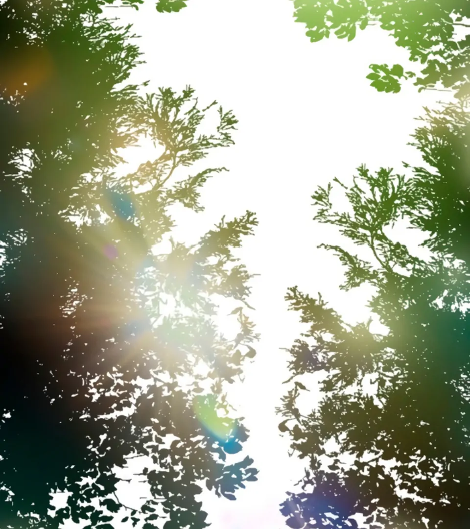 The Land of Abstinence Chapter 11 - page 80