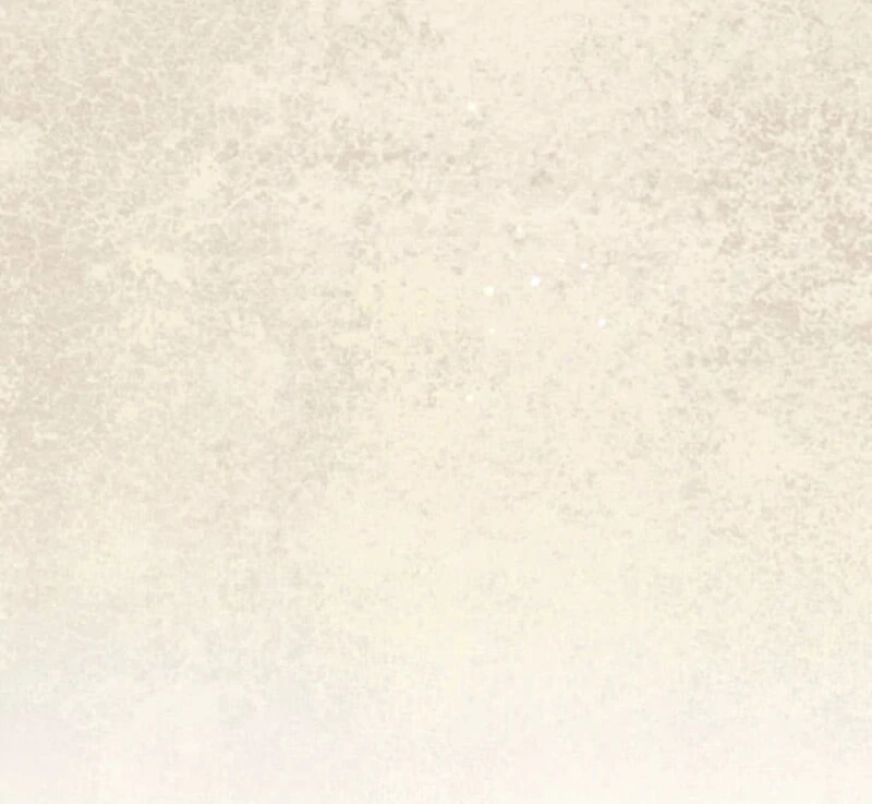 The Demon Duke’s Favor Begins the Second Time Around Chapter 9 - page 21