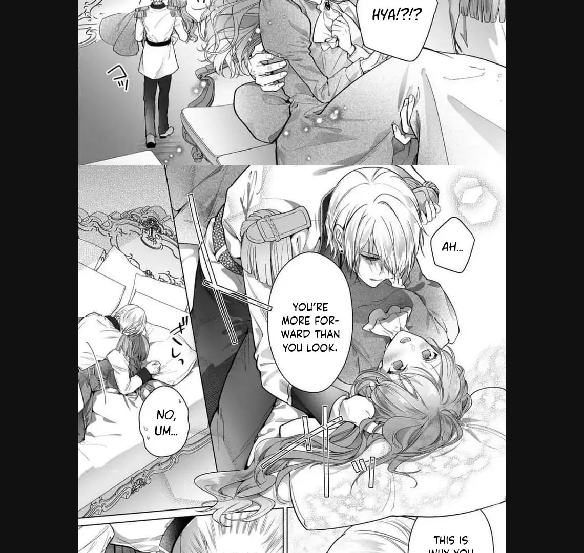 I Just Wanted to Be a Side Character and the Prince’s Guard Captain, But the Prince I Accidentally Stole Won’t Let Me Go Chapter 1 - page 27