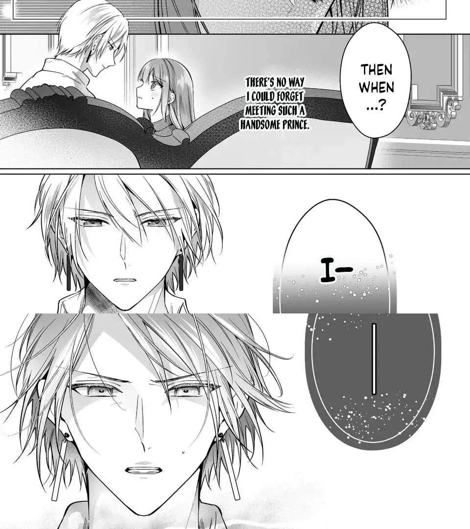 I Just Wanted to Be a Side Character and the Prince’s Guard Captain, But the Prince I Accidentally Stole Won’t Let Me Go Chapter 2 - page 17