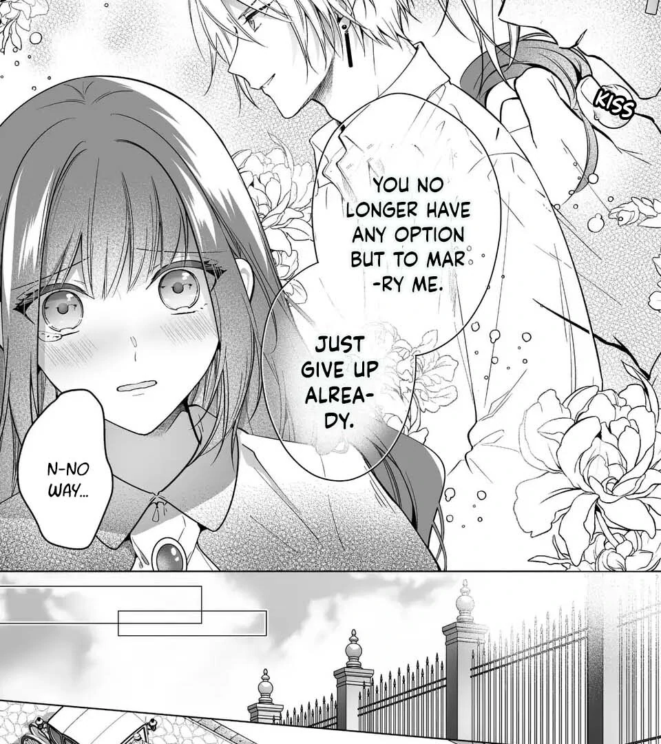 I Just Wanted to Be a Side Character and the Prince’s Guard Captain, But the Prince I Accidentally Stole Won’t Let Me Go Chapter 2 - page 19