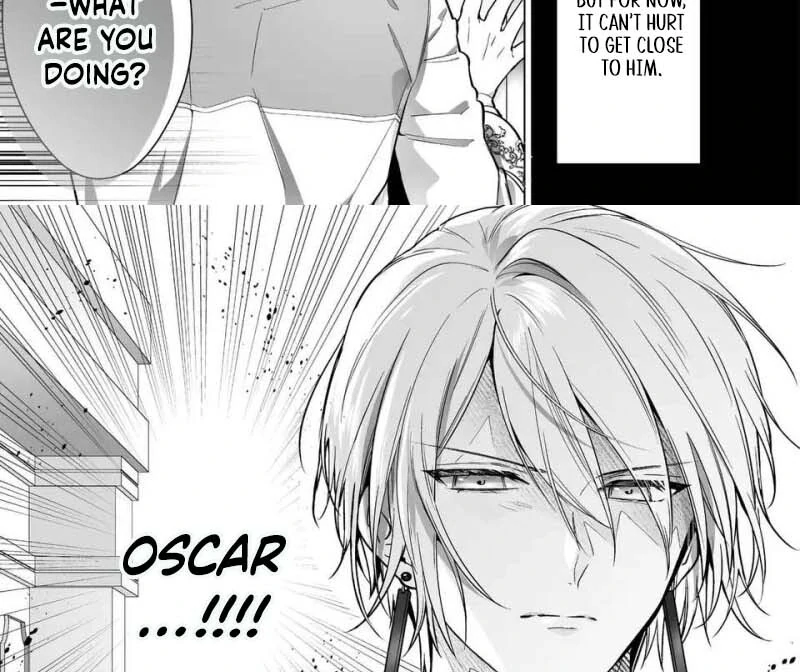 I Just Wanted to Be a Side Character and the Prince’s Guard Captain, But the Prince I Accidentally Stole Won’t Let Me Go Chapter 3 - page 30