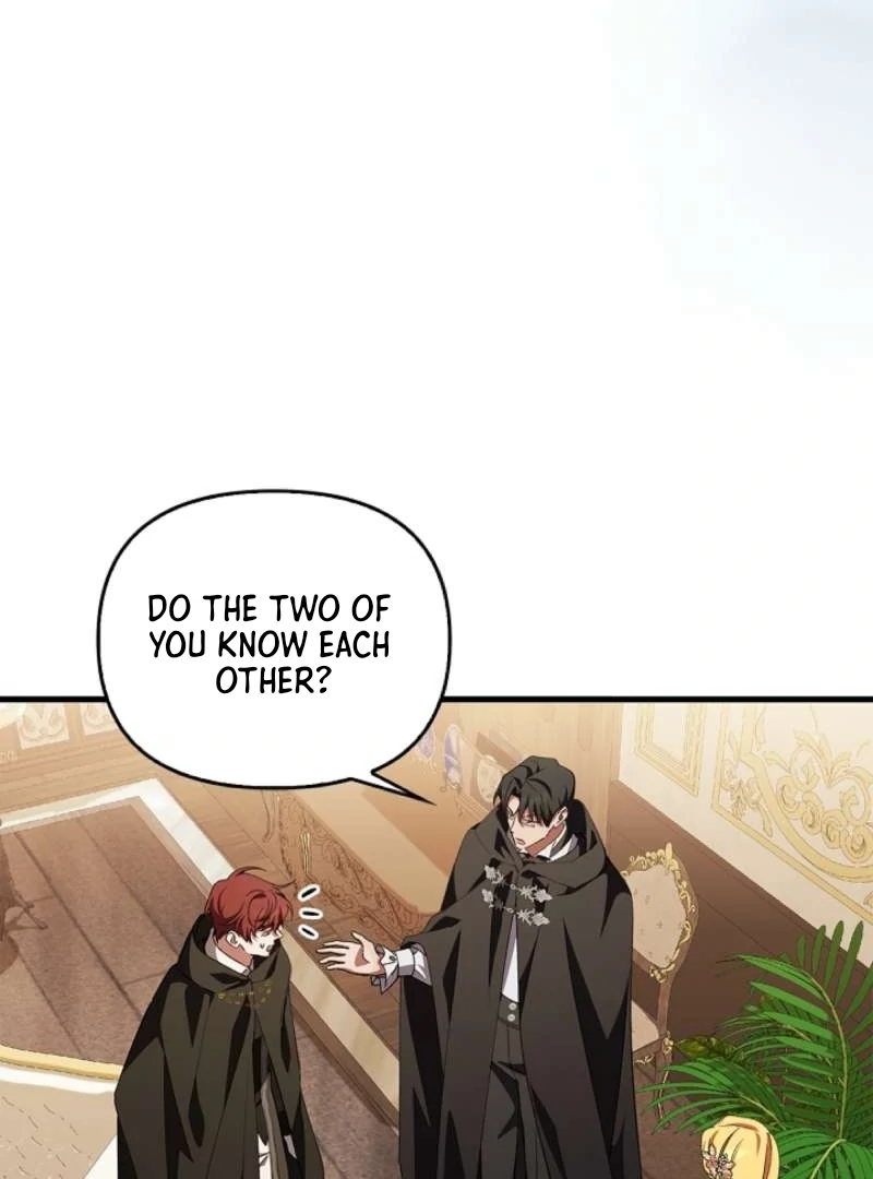 The Countess Who Ran Away Has Returned Chapter 12 - page 120