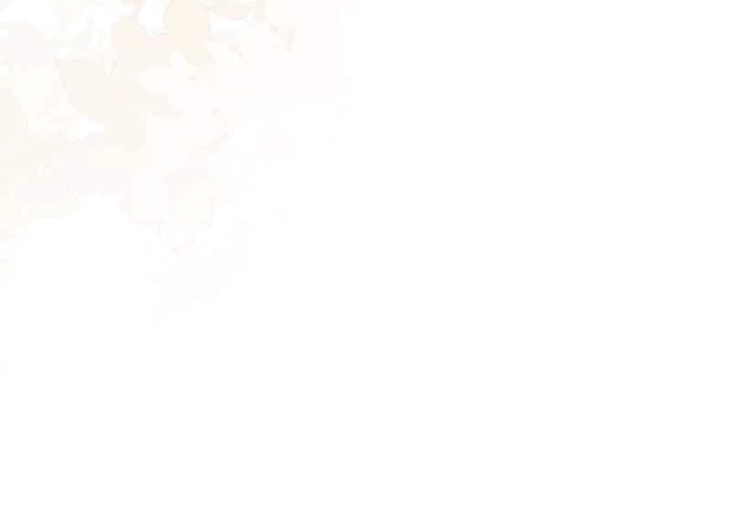 The Countess Who Ran Away Has Returned Chapter 12 - page 129