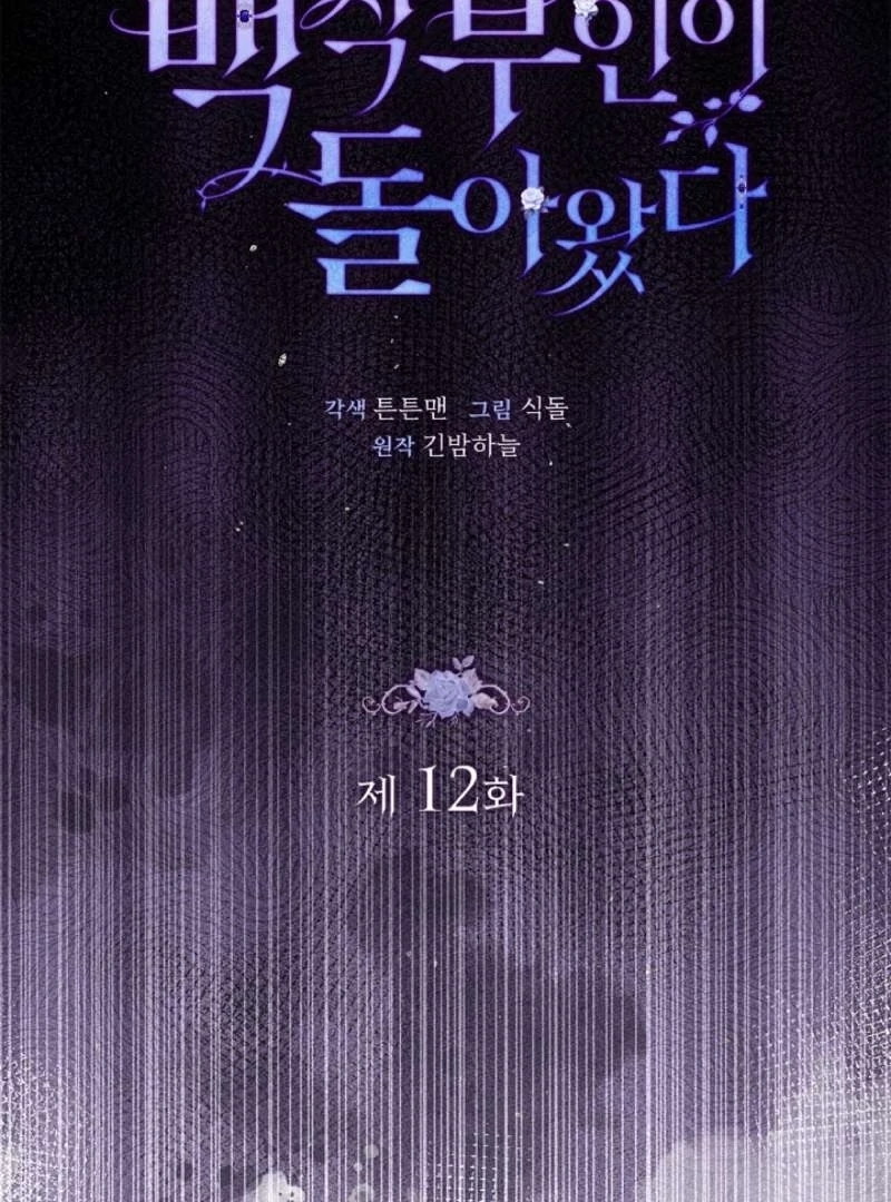 The Countess Who Ran Away Has Returned Chapter 12 - page 16