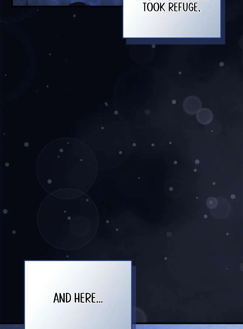 The Countess Who Ran Away Has Returned Chapter 12 - page 97