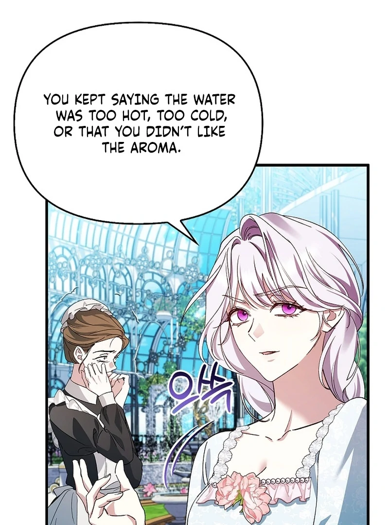 The Countess Who Ran Away Has Returned Chapter 19 - page 67