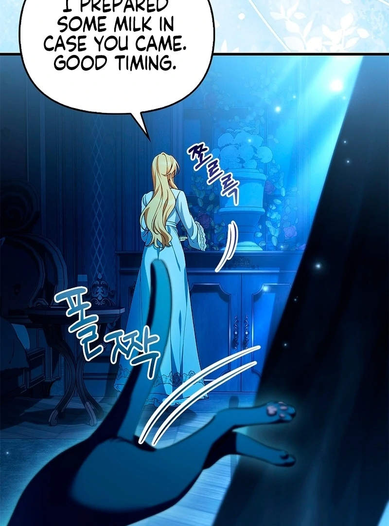 The Countess Who Ran Away Has Returned Chapter 20 - page 11