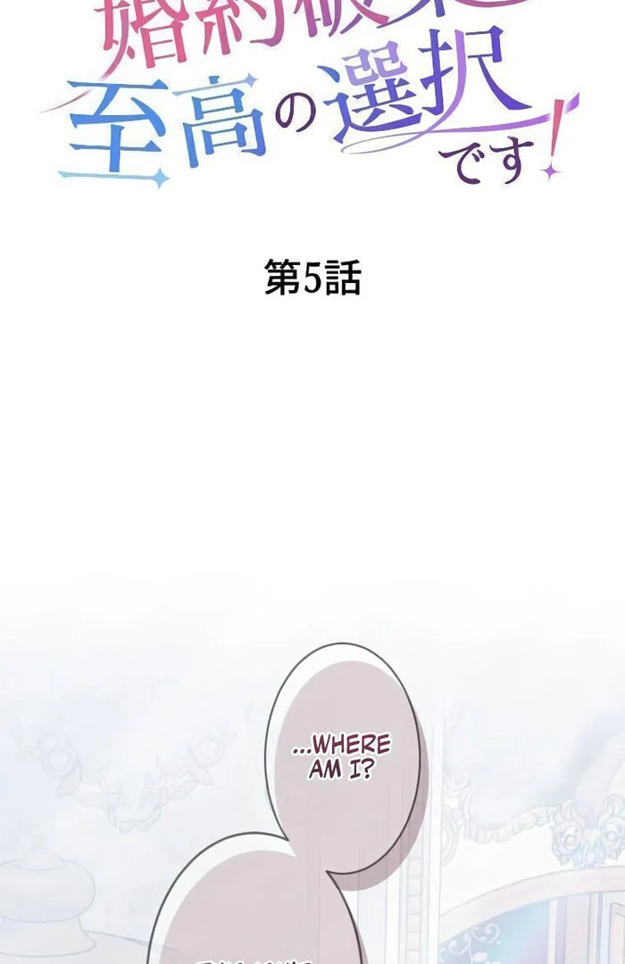 Breaking Off the Engagement is the Supreme Choice Chapter 5 - page 31