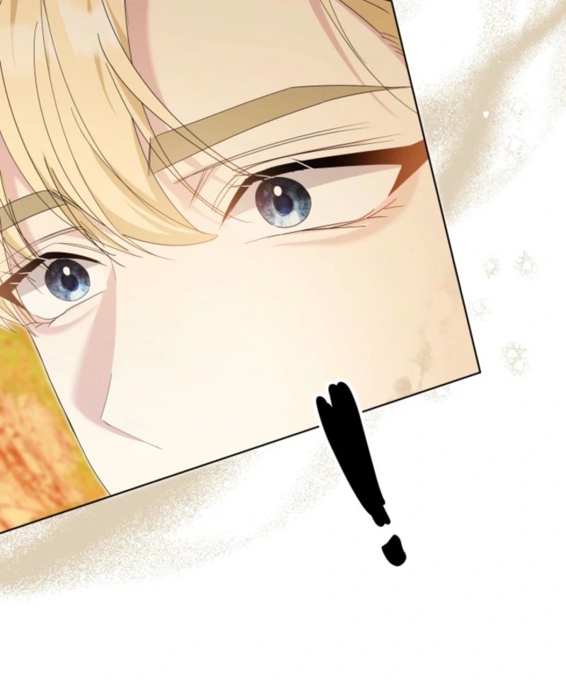 I Tried to Rewrite the Original Story, But Ended Up Seducing the Northern Grand Duke Chapter 11 - page 133