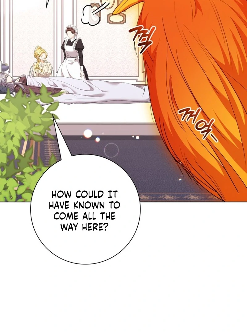 I Tried to Rewrite the Original Story, But Ended Up Seducing the Northern Grand Duke Chapter 26 - page 74
