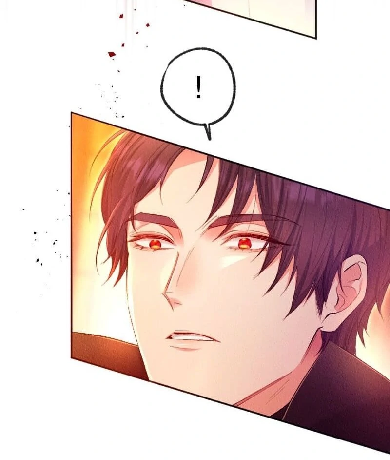 The Abandoned Lady Became the Imperial Family's Beloved Caretaker Chapter 4 - page 44