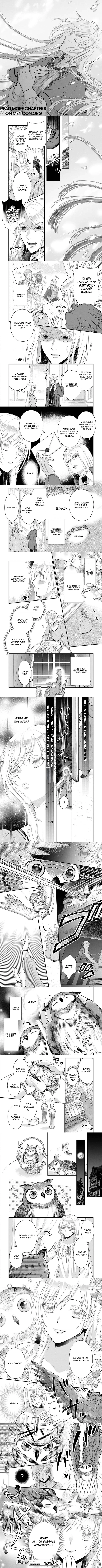 The Owl and the Guard Chapter 1 - page 3