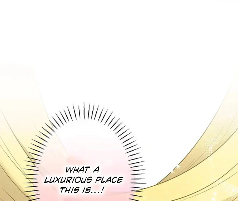 The Villainess Who Lives Inside Me Can Destroy This Nation, but I Will Never Let This Kingdom Fall ! Chapter 5 - page 25