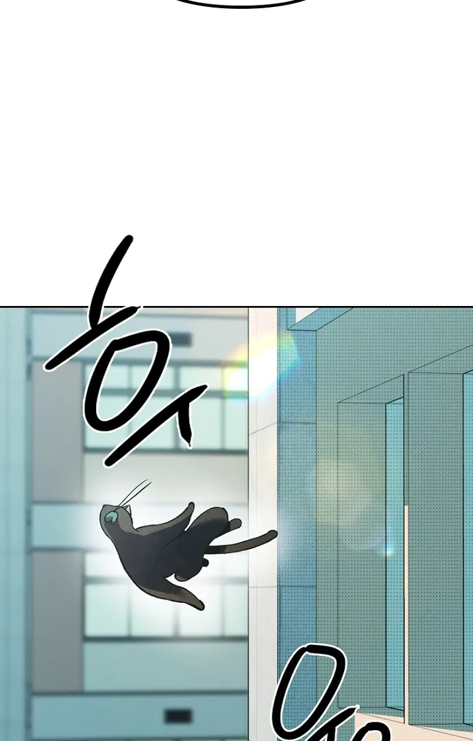 Twelve Zodiac Girls Chapter 1 - page 144