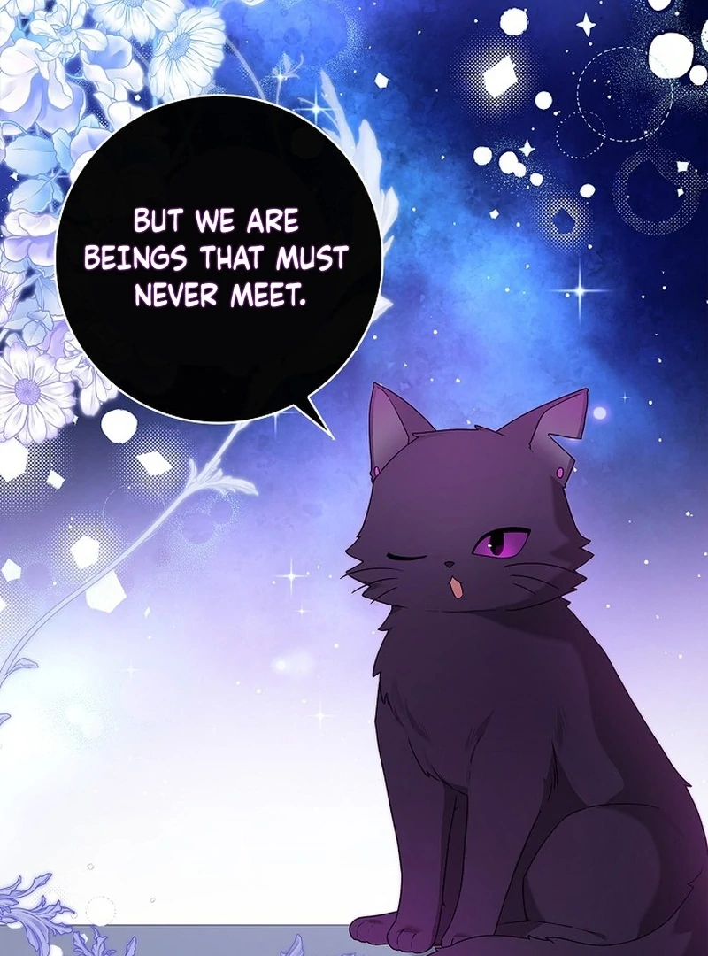 Sub Male Lead, Come to My Bed Chapter 20 - page 43