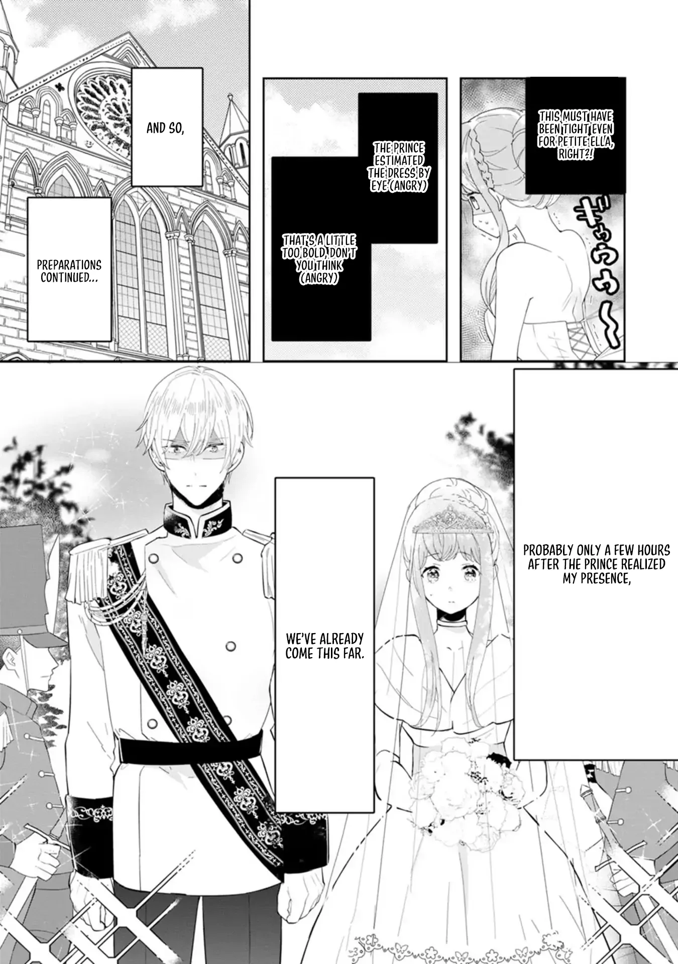 Cinderella’s Sister Became the Prince’s Bride, Living a Slow Life as the Stand-In Princess Chapter 1 - page 19