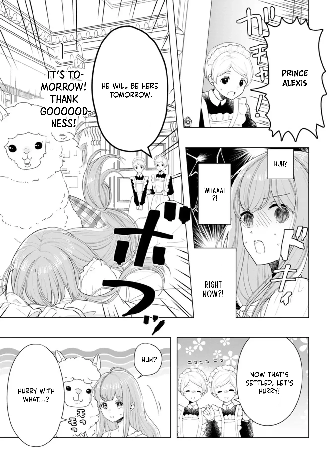 Cinderella’s Sister Became the Prince’s Bride, Living a Slow Life as the Stand-In Princess Chapter 3 - page 14