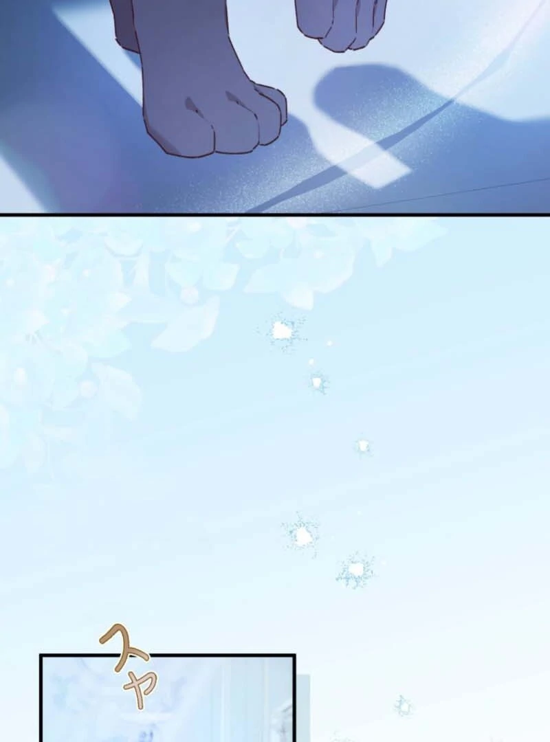 I Will Not be Overshadowed by my Twin Sister in This Life Chapter 7 - page 103