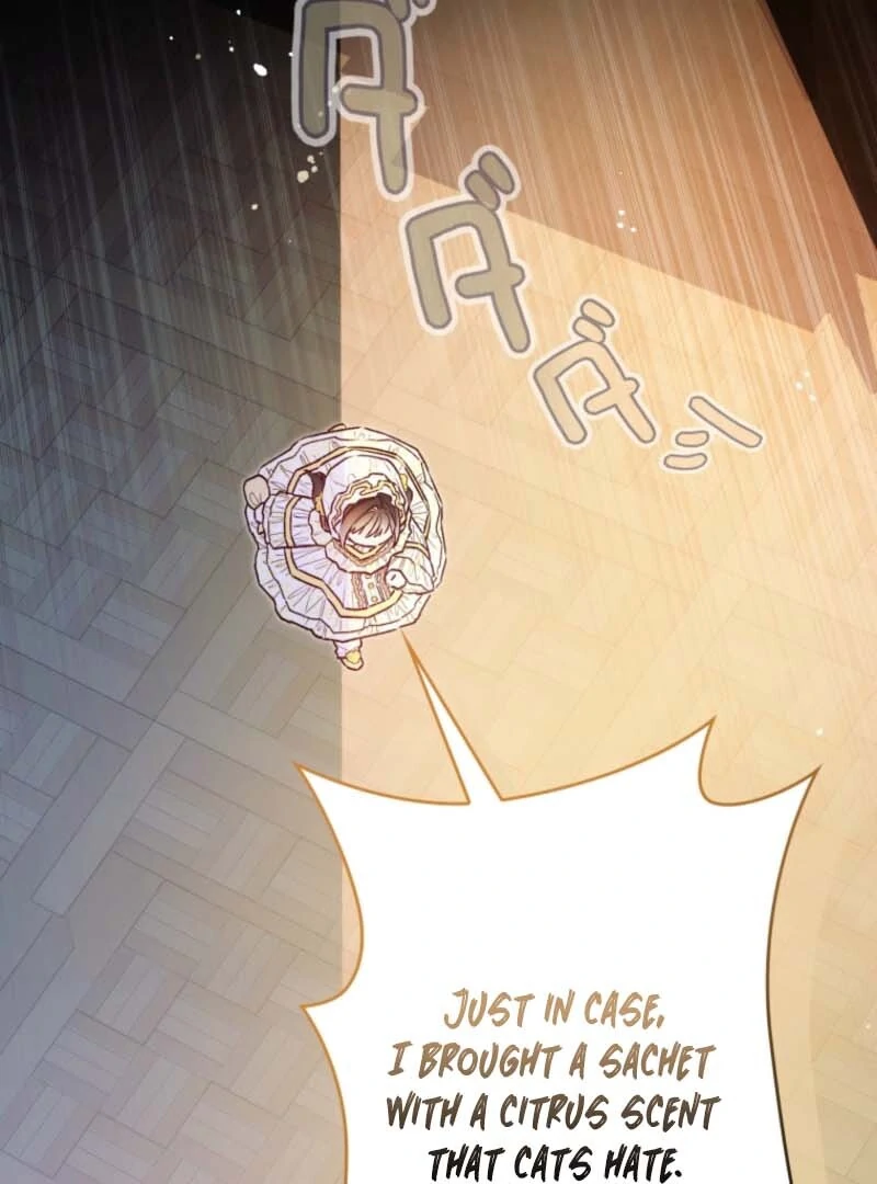 I Will Not be Overshadowed by my Twin Sister in This Life Chapter 7 - page 112