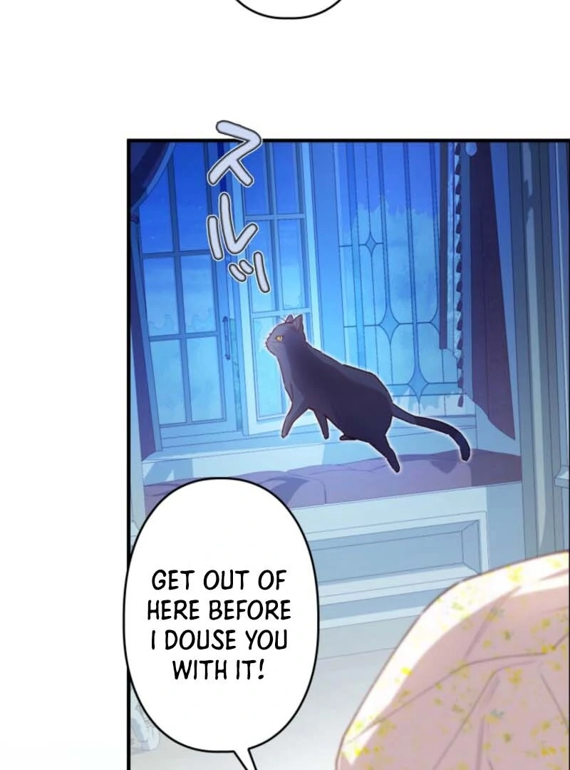 I Will Not be Overshadowed by my Twin Sister in This Life Chapter 7 - page 115