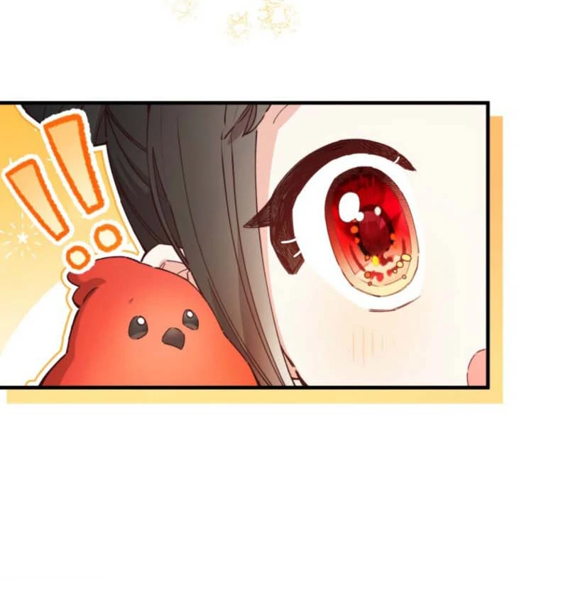 I Will Not be Overshadowed by my Twin Sister in This Life Chapter 7 - page 12