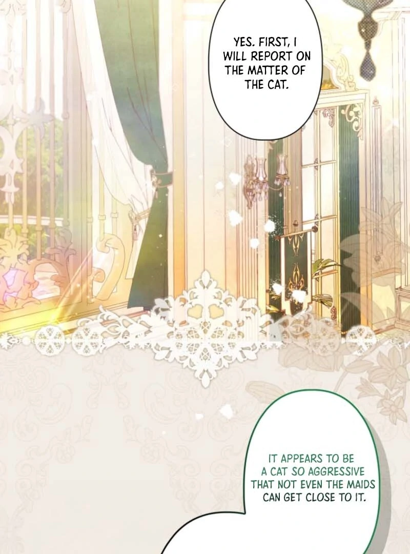 I Will Not be Overshadowed by my Twin Sister in This Life Chapter 7 - page 29