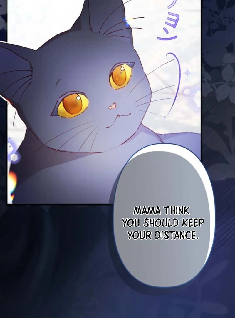 I Will Not be Overshadowed by my Twin Sister in This Life Chapter 7 - page 67