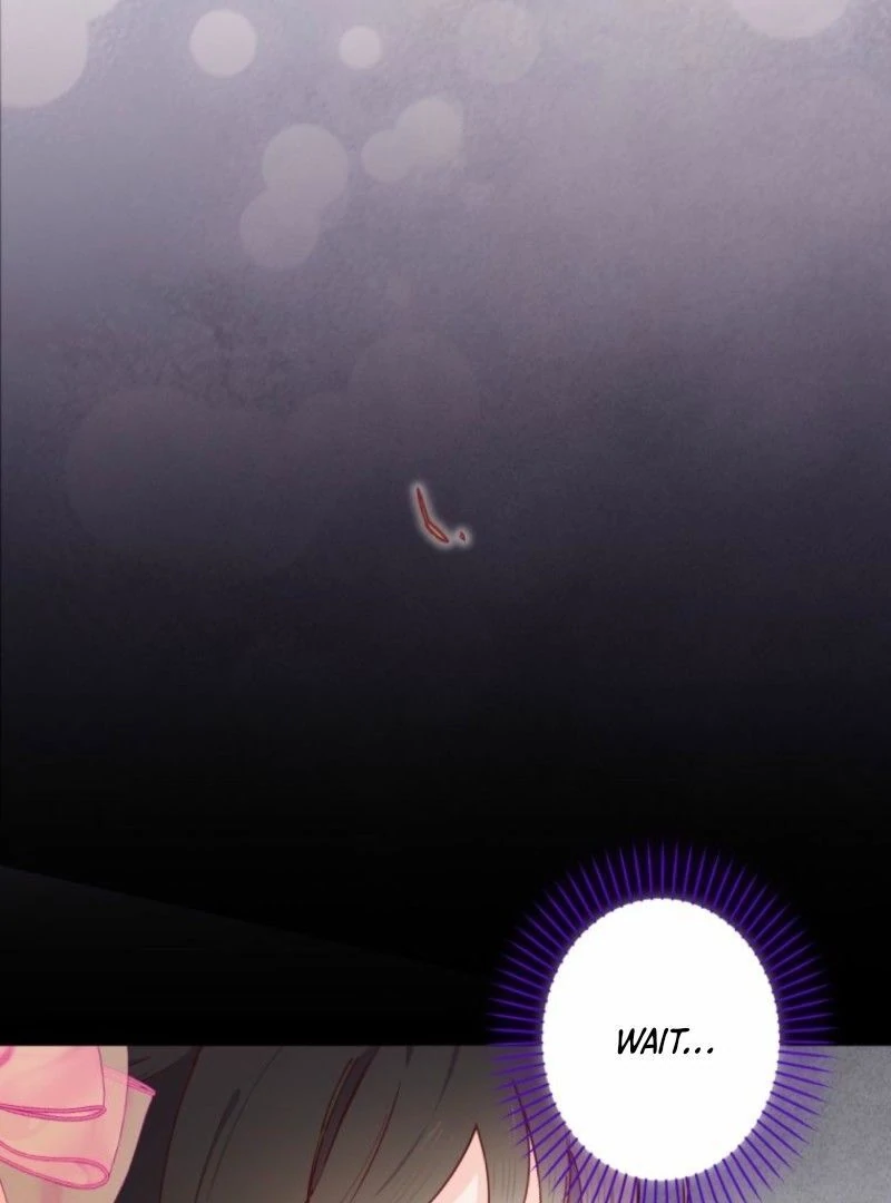 I Will Not be Overshadowed by my Twin Sister in This Life Chapter 13 - page 102