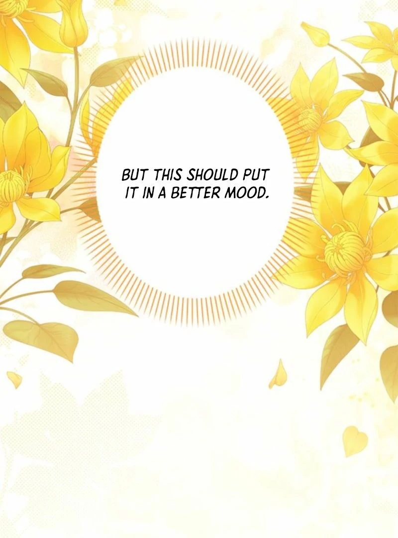 I Will Not be Overshadowed by my Twin Sister in This Life Chapter 13 - page 31
