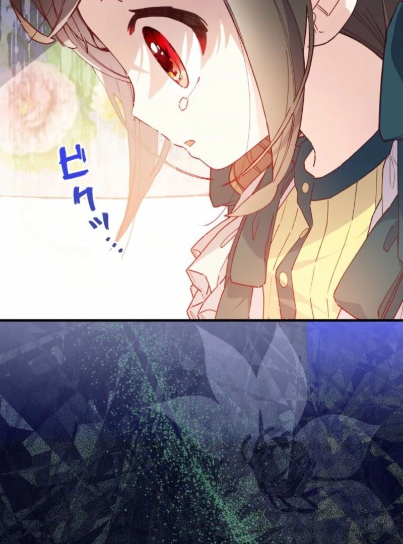 I Will Not be Overshadowed by my Twin Sister in This Life Chapter 13 - page 64