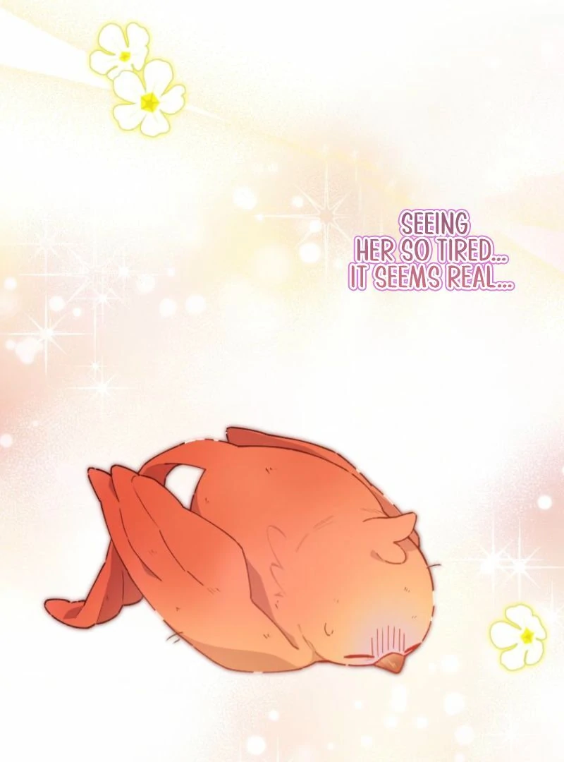 I Will Not be Overshadowed by my Twin Sister in This Life Chapter 13 - page 95