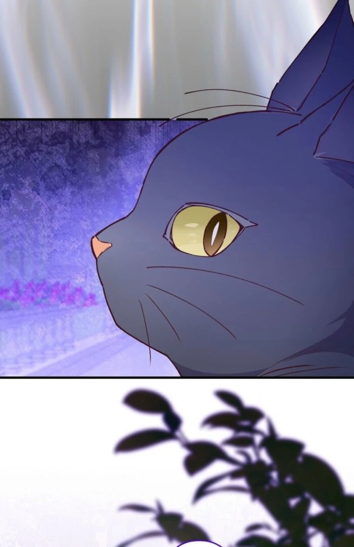 I Will Not be Overshadowed by my Twin Sister in This Life Chapter 16 - page 80