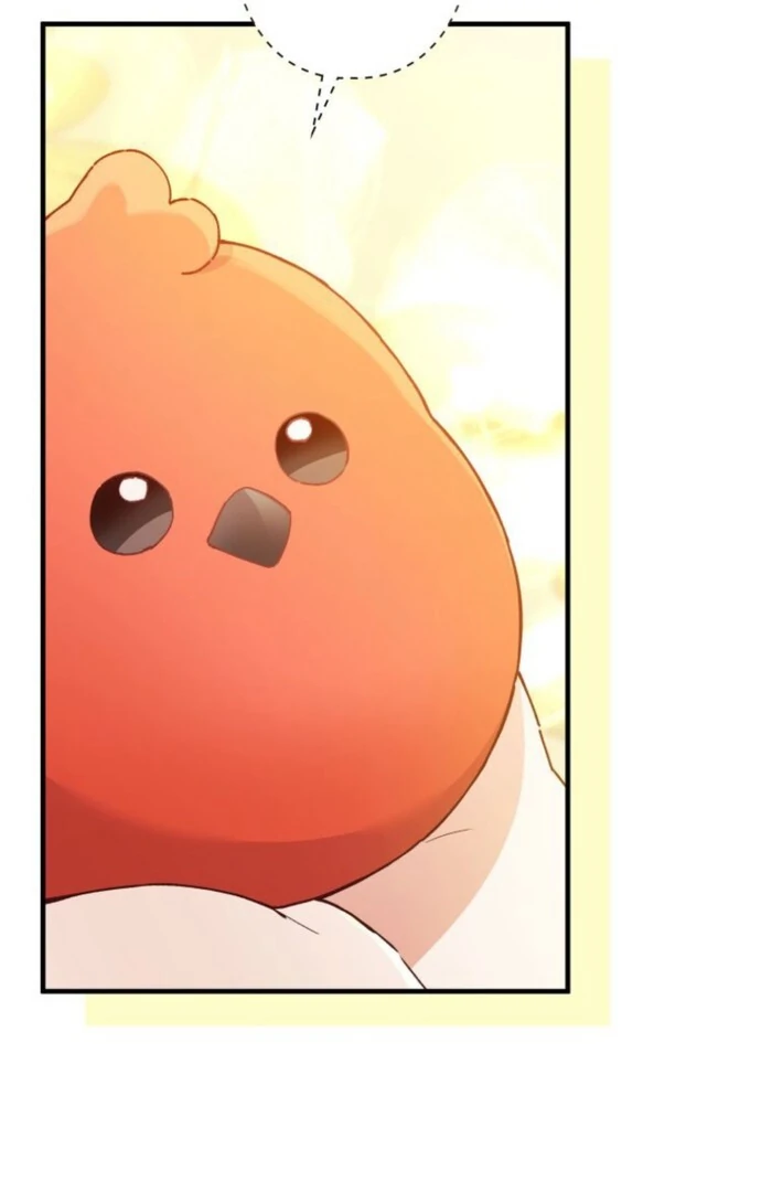 I Will Not be Overshadowed by my Twin Sister in This Life Chapter 17 - page 78