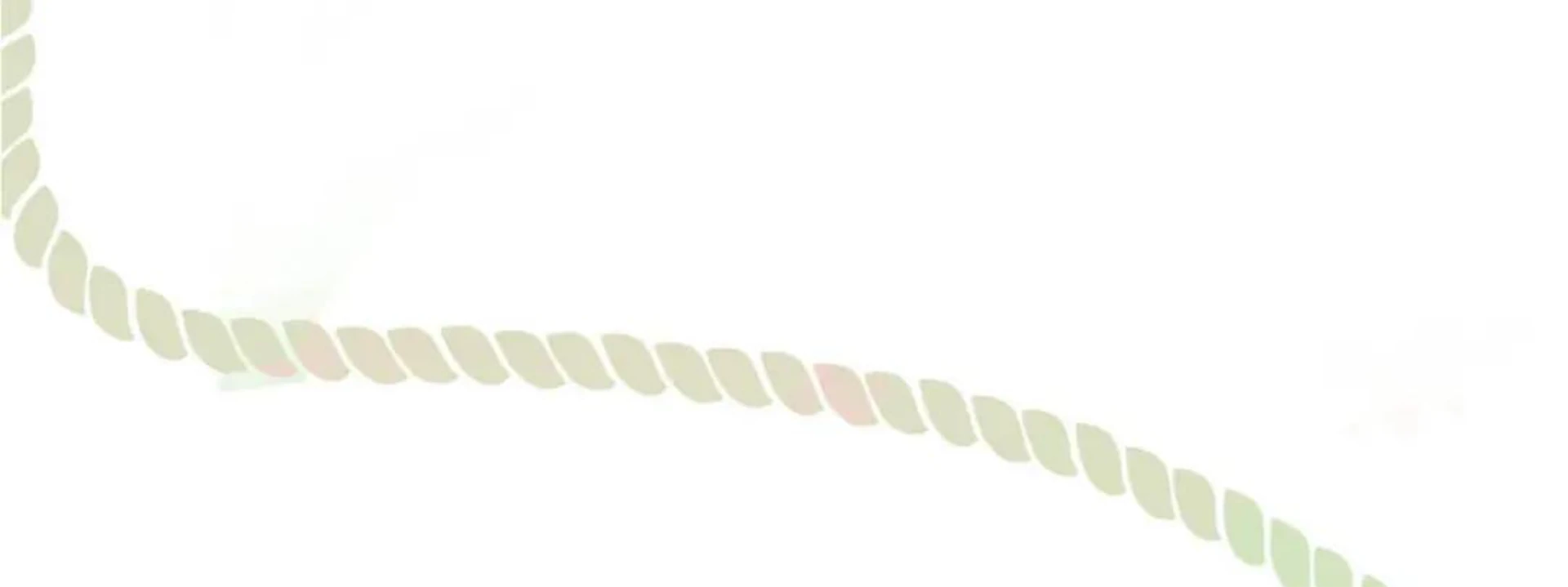 After Disguising as a Man, I Conquer the Mad Traitor?! Chapter 2 - page 84