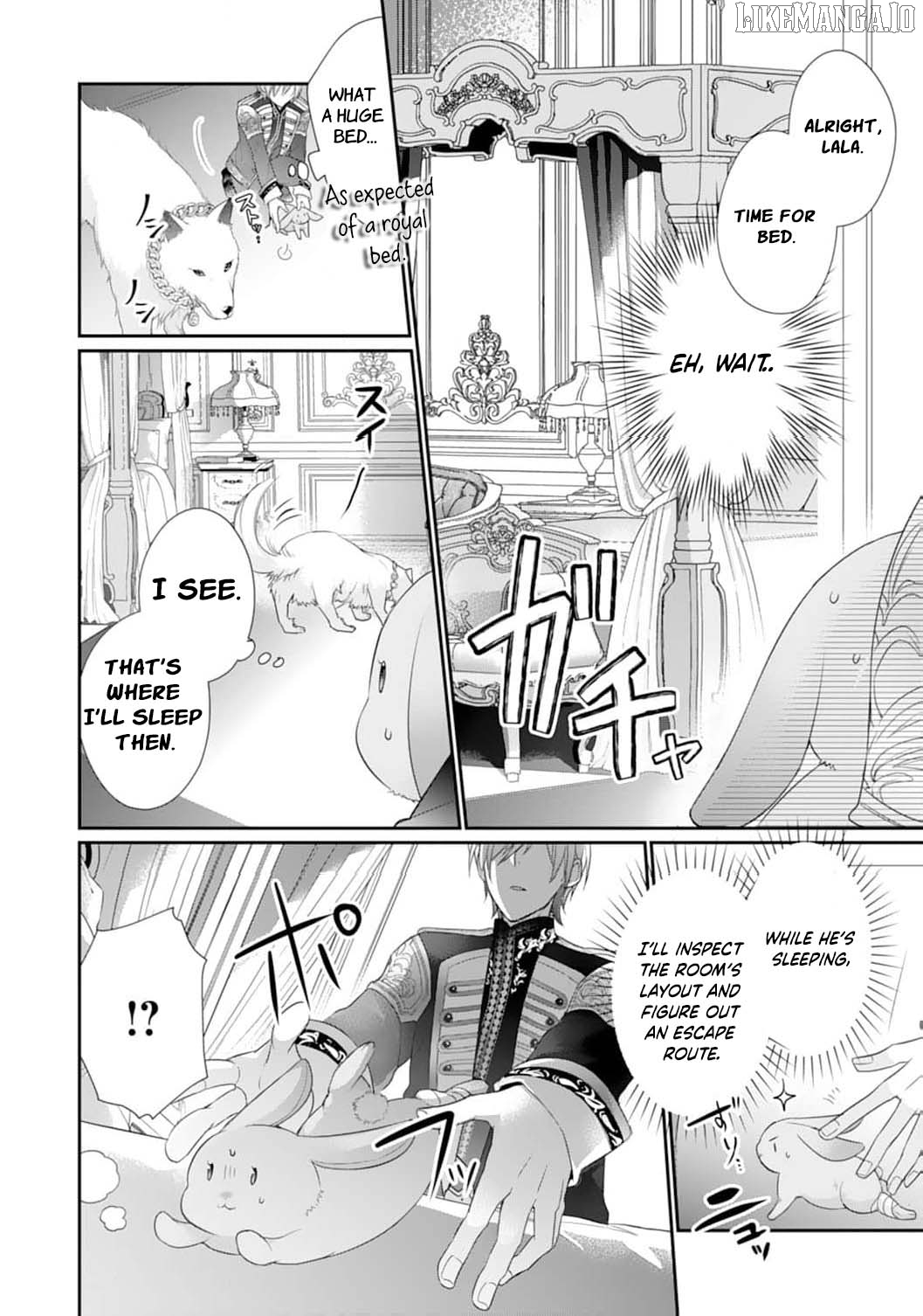 The Dragon King’s Fluffy Caretaker Chapter 2 - page 10