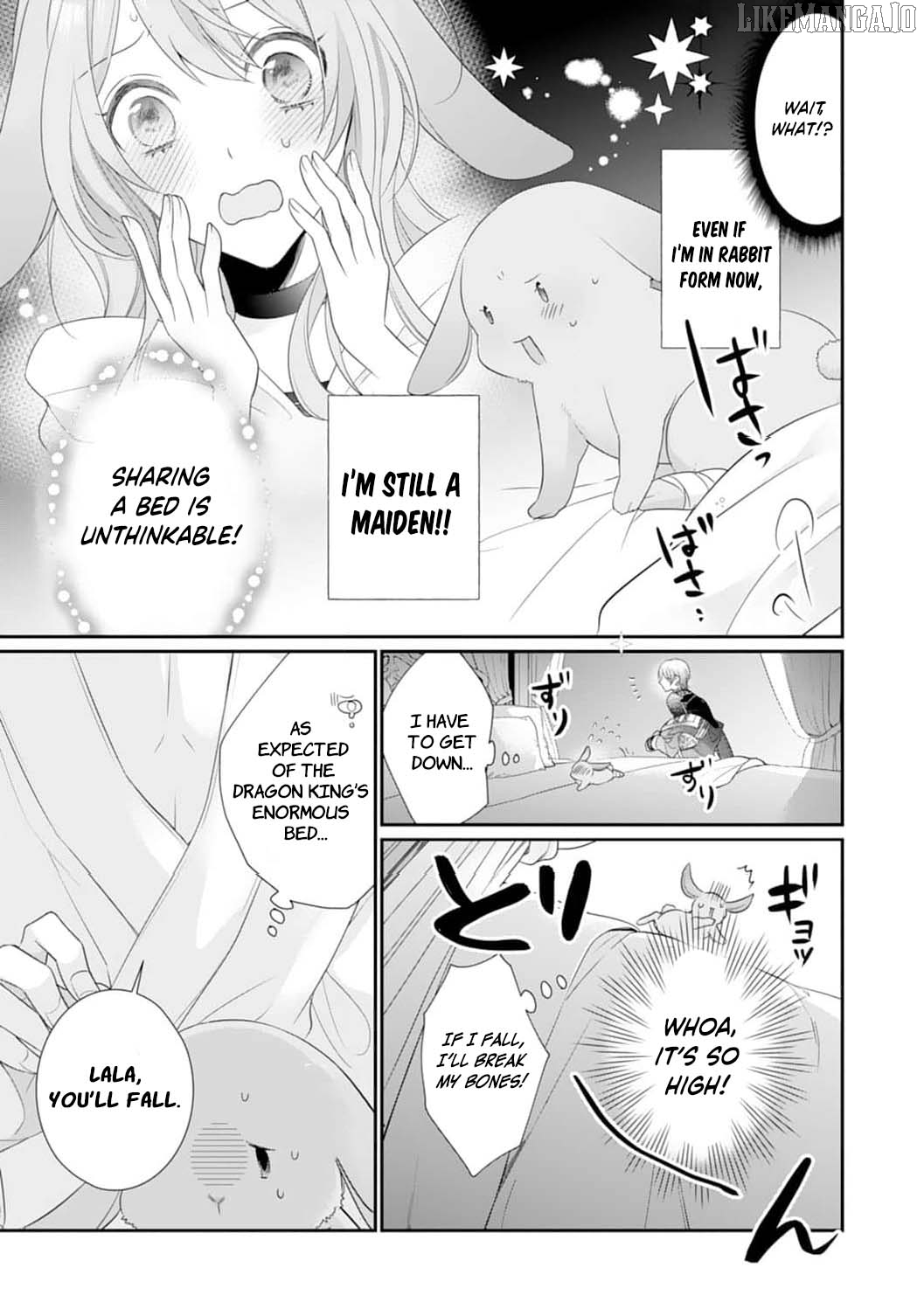 The Dragon King’s Fluffy Caretaker Chapter 2 - page 11