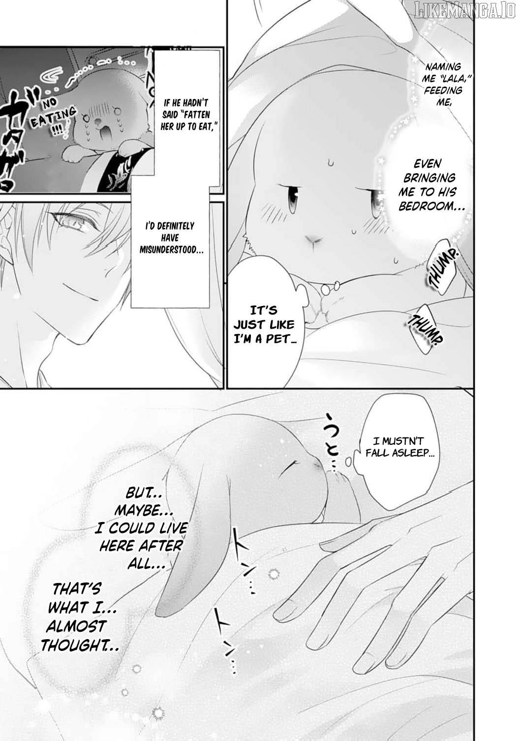 The Dragon King’s Fluffy Caretaker Chapter 2 - page 13