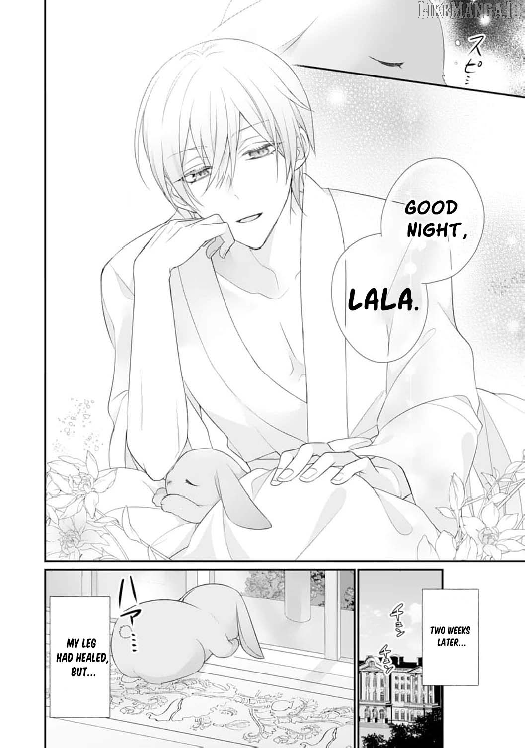 The Dragon King’s Fluffy Caretaker Chapter 2 - page 14