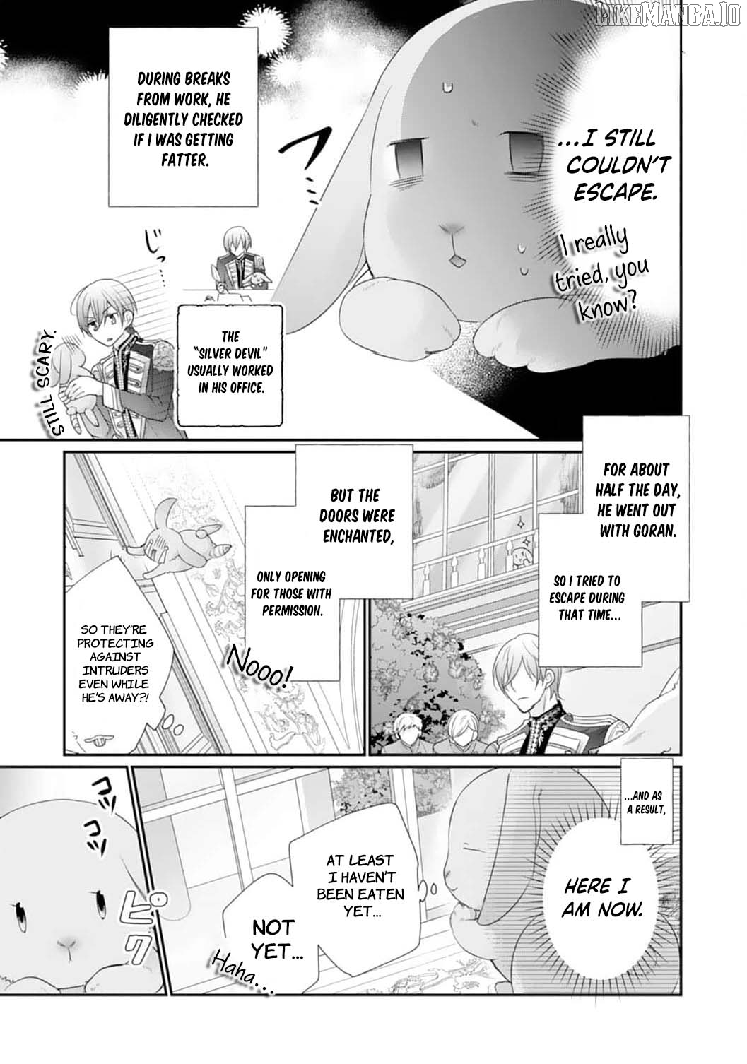 The Dragon King’s Fluffy Caretaker Chapter 2 - page 15