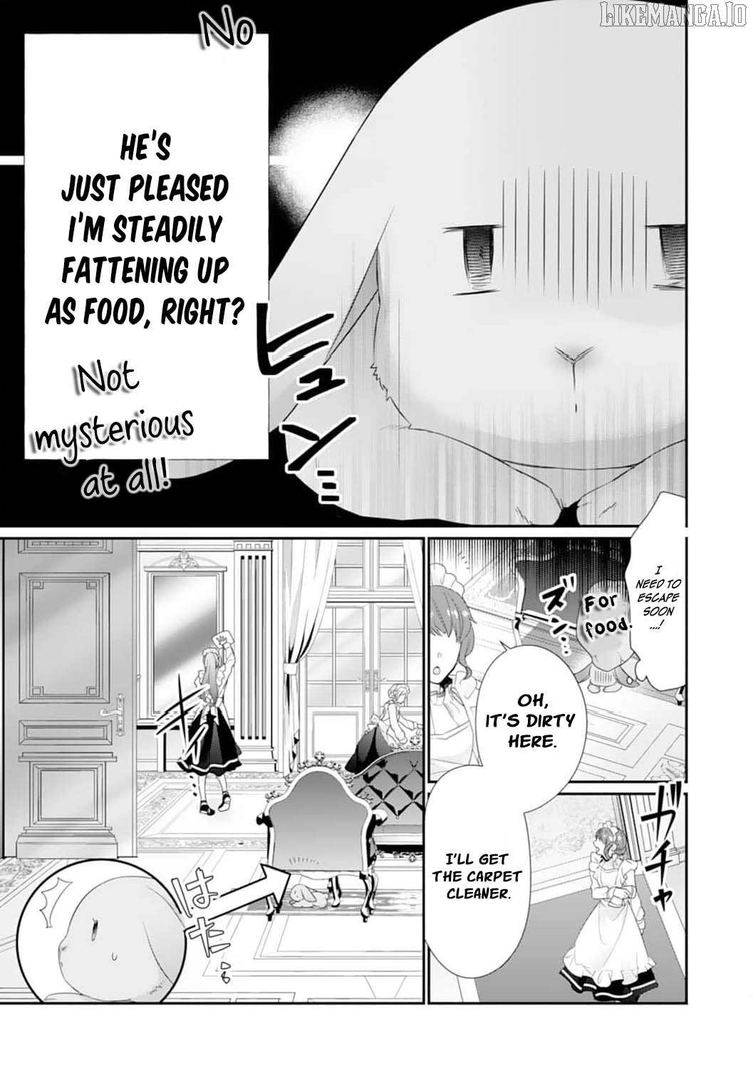 The Dragon King’s Fluffy Caretaker Chapter 2 - page 21